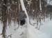 Andy&tree