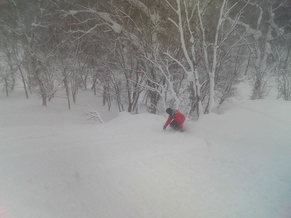j shred more pow
