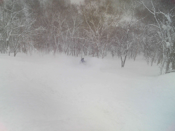 tom shreddin like its#67872