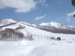 Moiwa - Niseko